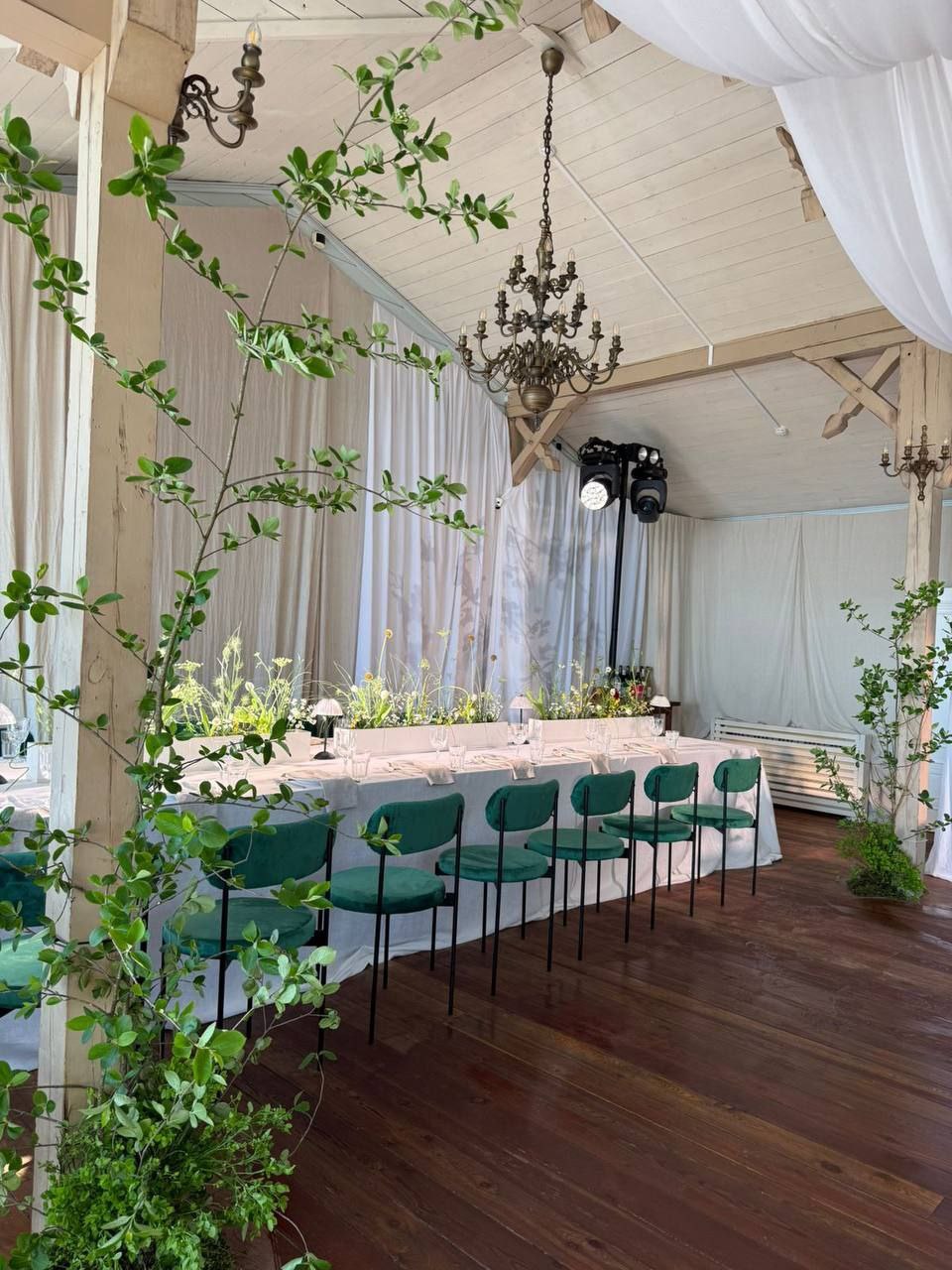 Фотография 1